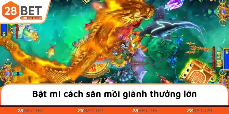 Bật mí cách săn mồi giành thưởng lớn