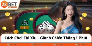Cách chơi tài xỉu