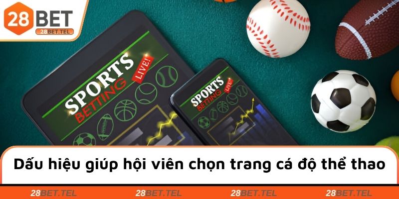 Dấu hiệu giúp hội viên lựa chọn trang cá độ thể thao