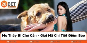 Mơ thấy bị chó cắn