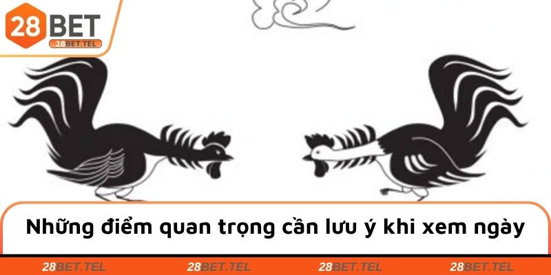 Những điểm quan trọng cần lưu ý khi xem ngày